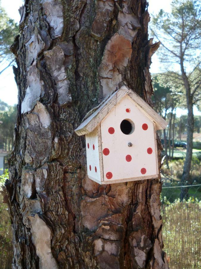Casa Encantadora Con Piscina Privada Y Chimenea Villa Las Jaras Kültér fotó