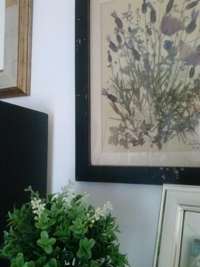 Casa Encantadora Con Piscina Privada Y Chimenea Villa Las Jaras Kültér fotó